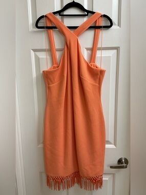 ADRIANNA PAPELL Dress